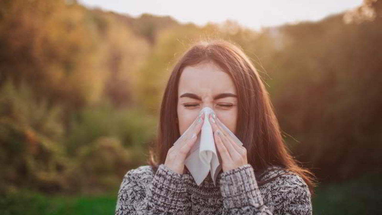 Catarro y gripe: cómo prevenirla y tratarla durante el invierno - Noticias  Grupo Recoletas